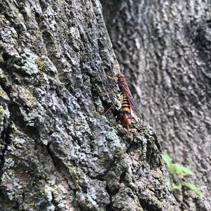 Meet your Posher, Richard